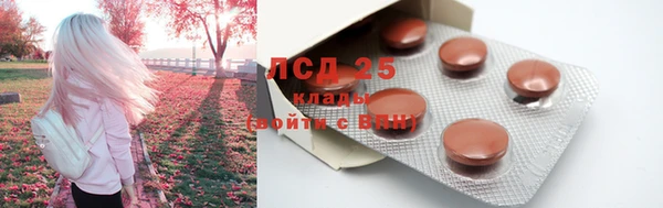трава Гусев