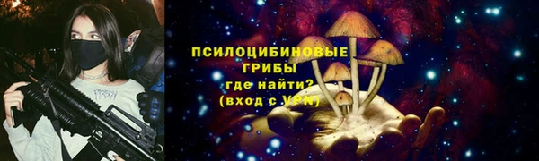 молекула духа Горняк