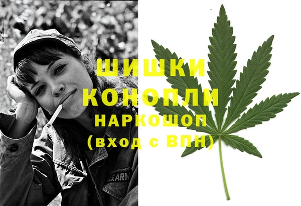 МДПВ Гусиноозёрск