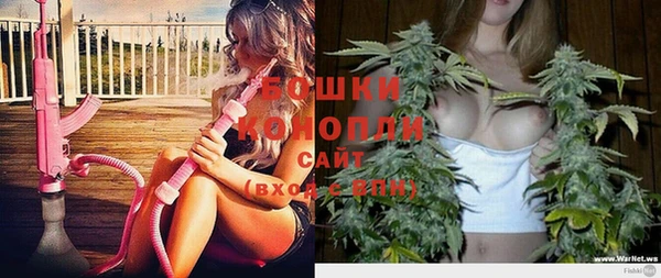 МДПВ Гусиноозёрск