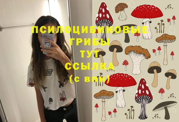 МДПВ Гусиноозёрск
