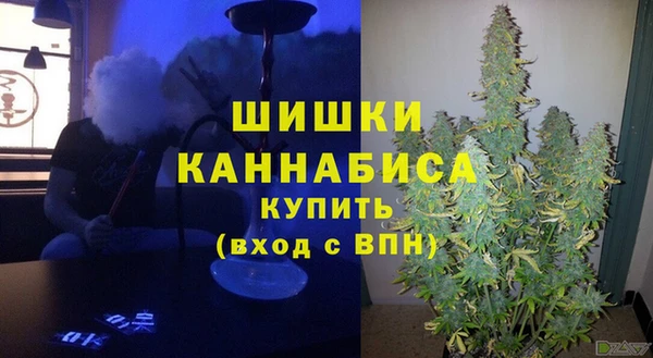 МДПВ Гусиноозёрск