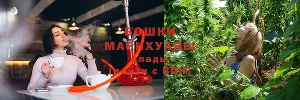 трава Гусев
