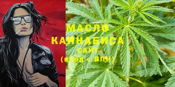 шишки Тавда